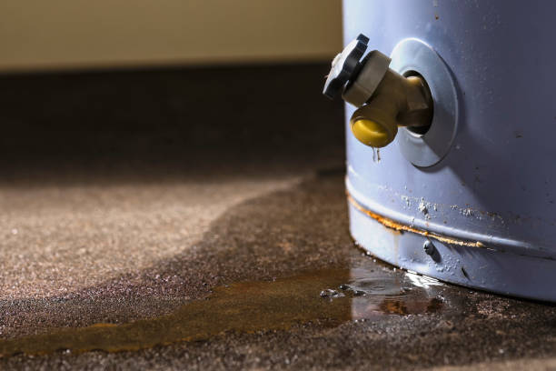 Best Water damage contractors near me  in Waynesville, OH