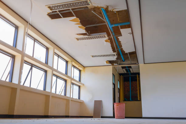 Best Water damage restoration near me  in Waynesville, OH
