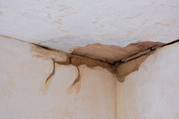 Best Flood damage cleanup  in Waynesville, OH