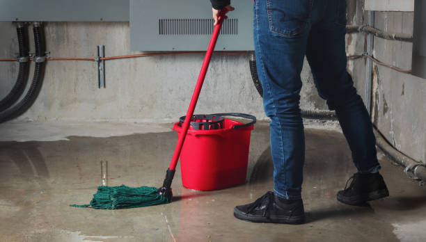 Best Water damage cleanup near me  in Waynesville, OH
