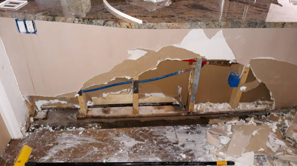 Best Mold removal after water damage  in Waynesville, OH