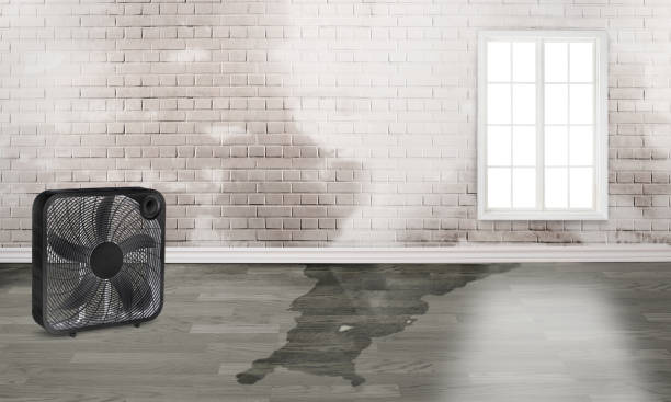 Best Commercial water damage restoration  in Waynesville, OH