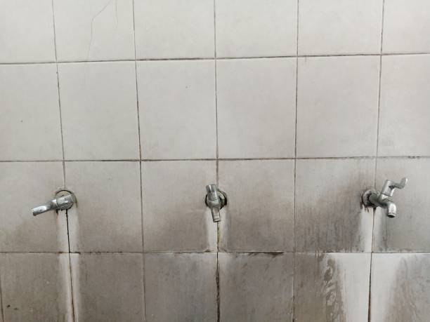 Best Water damage restoration near me  in Waynesville, OH