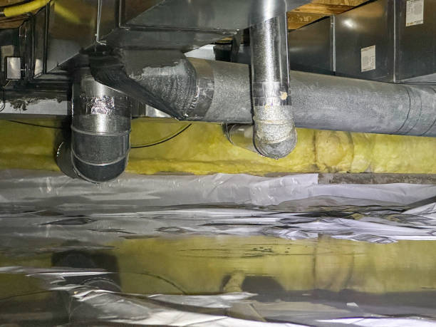 Best Professional water damage repair  in Waynesville, OH