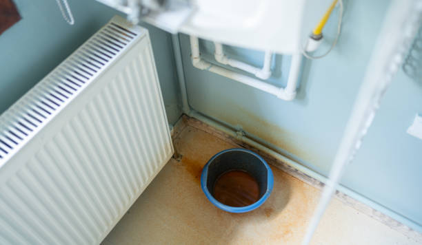 Best Basement water damage restoration  in Waynesville, OH