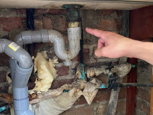 Best 24-hour water damage restoration  in Waynesville, OH