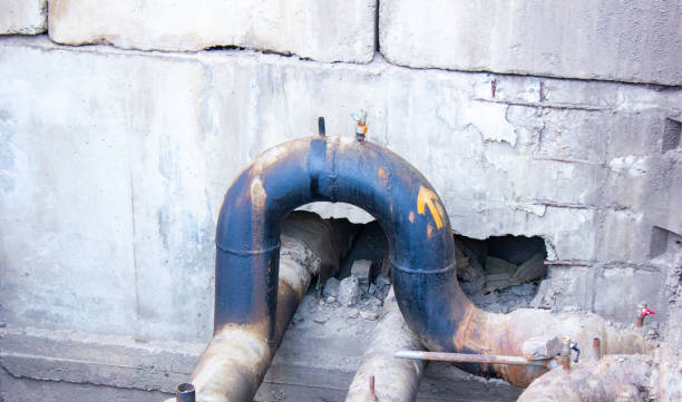 Best Carpet water damage restoration  in Waynesville, OH