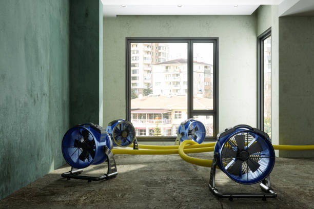Best Fire Damage Restoration  in Waynesville, OH