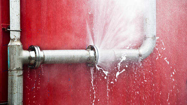 Best Water damage restoration company  in Waynesville, OH