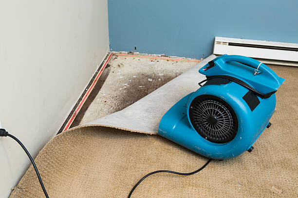 Best Flooded house restoration  in Waynesville, OH